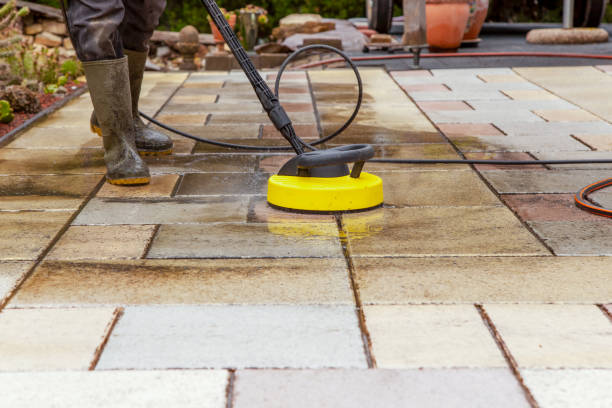 Best Pre-Holiday Cleaning  in Wadena, MN